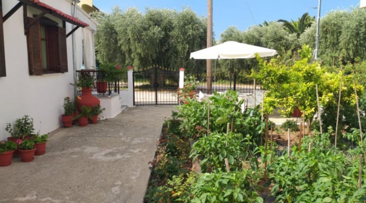 Katerina'S Cozy Home Skala Sotiros Ngoại thất bức ảnh
